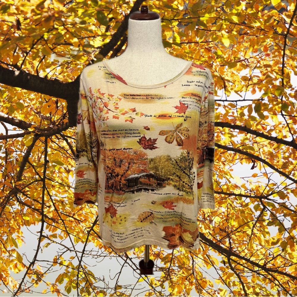 Collections Etc. 90s 100% Cotton Fall Poetry Sequin Long Sleeve Top Size M